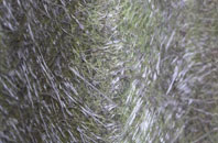 Tudeley fibreglass roof work